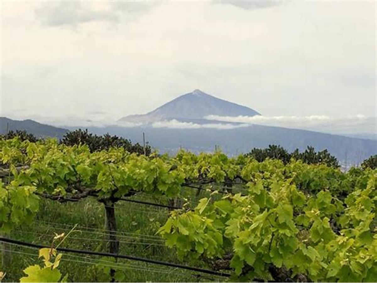 Finca Rural House Tenerife Relax And Enjoy Santa Ursula  Exterior photo