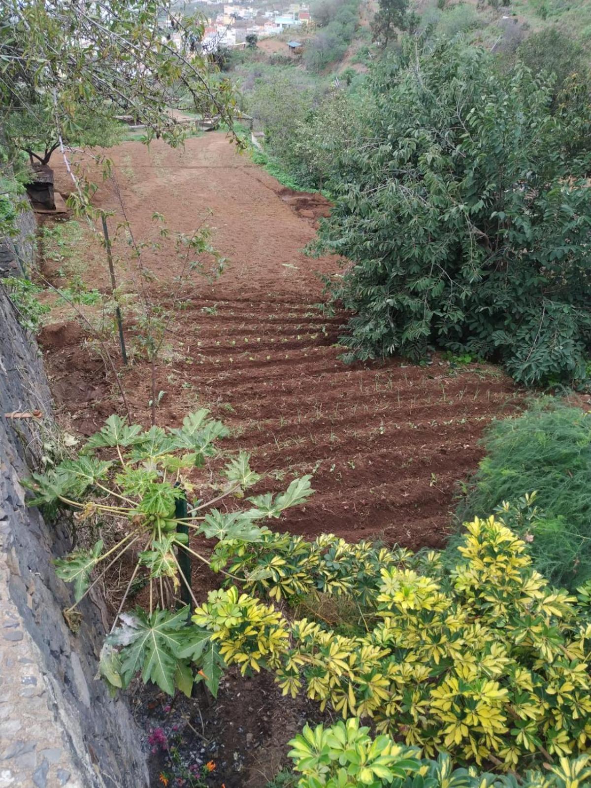 Finca Rural House Tenerife Relax And Enjoy Santa Ursula  Exterior photo