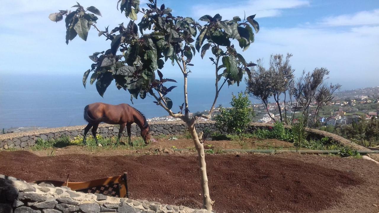 Finca Rural House Tenerife Relax And Enjoy Santa Ursula  Exterior photo